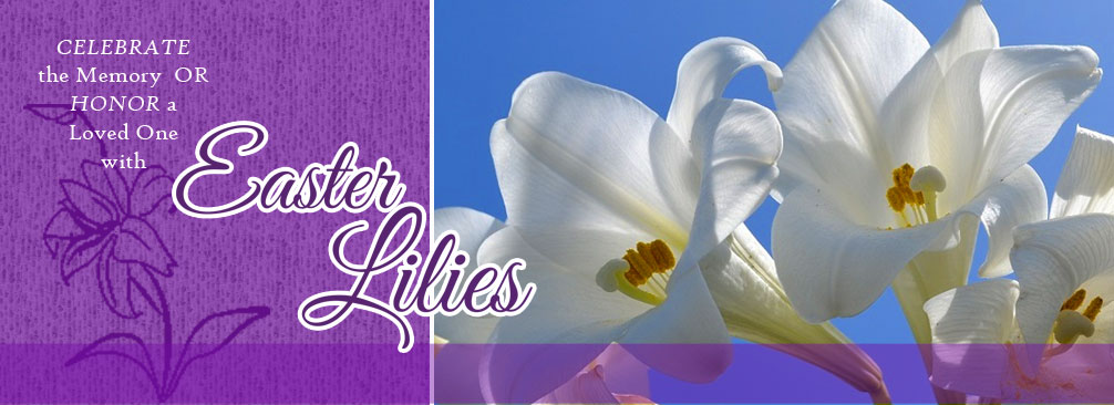 easter_lilies
